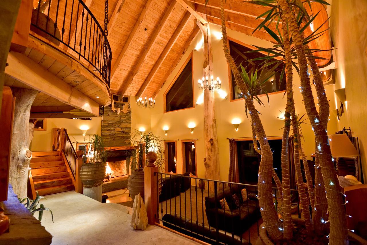 Tree House Lodge Bed & Breakfast Cheviot Exterior foto